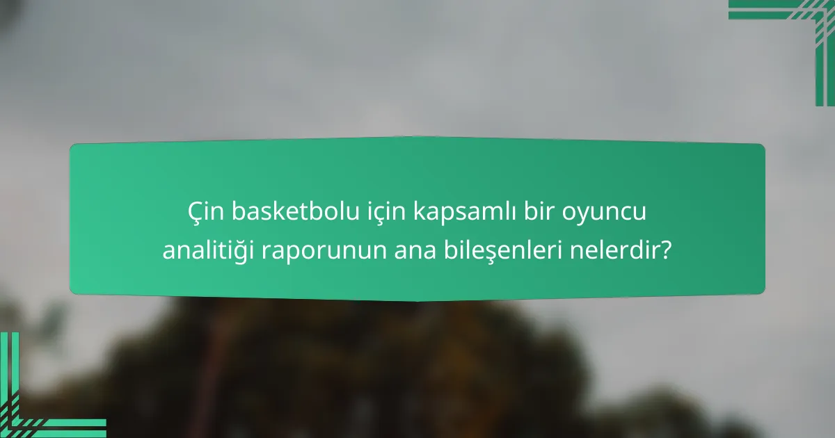 Çin basketbolu için kapsamlı bir oyuncu analitiği raporunun ana bileşenleri nelerdir?